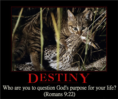 quotes on destiny. Destiny Poster